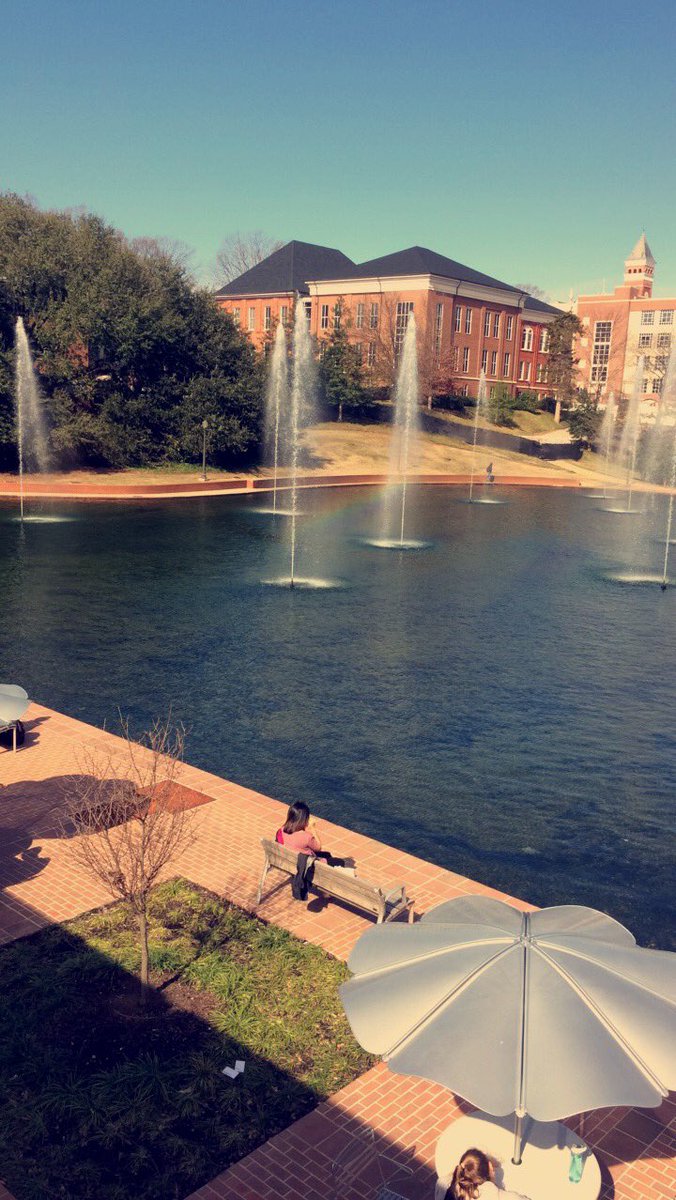 TheDominaTrish's tweet photo. The rainbow 😍🌈 #ClemsonUniversity #LibraryBridge https://t.co/lFhPuT4vpu