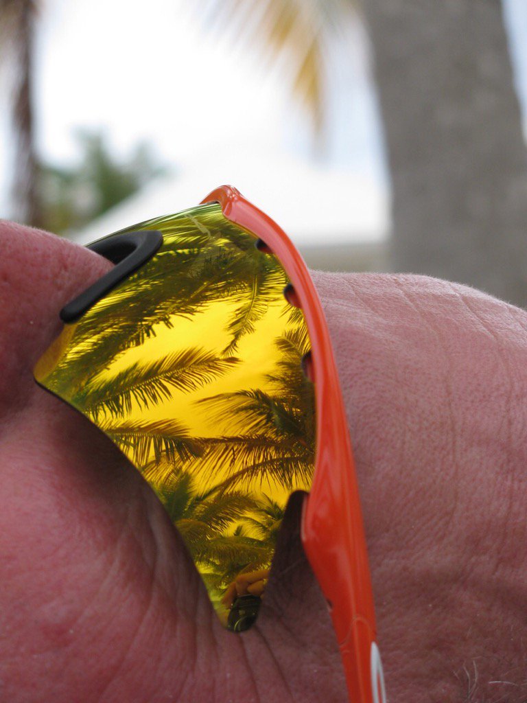 TravelAazure's tweet photo. I'm all about the palm trees and 80 degrees  @staceynoppen https://t.co/ItKZR52iqS