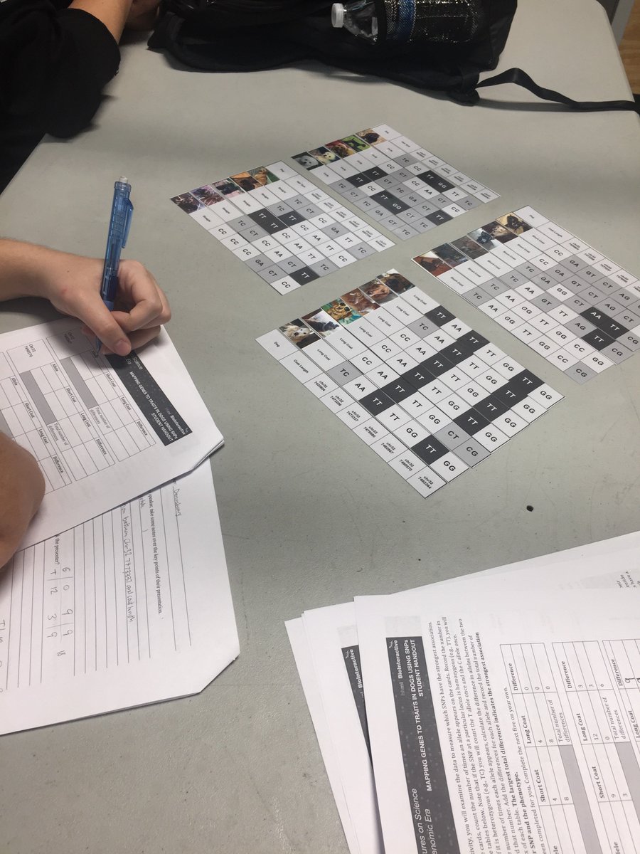 CourtSchindler's tweet photo. Mapping genes to traits in dogs using SNPs with AP bio students. #kisdscience #RSCsteam https://t.co/ydpLJJA3XT