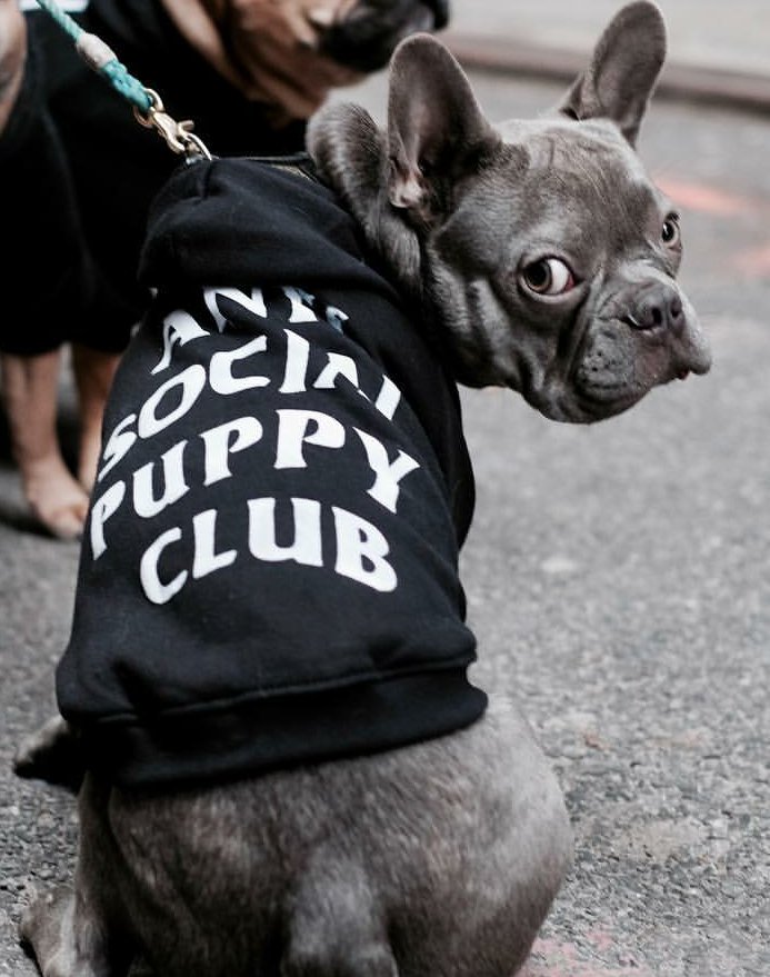 A.S.S.C (@asscmusic) on Twitter photo 