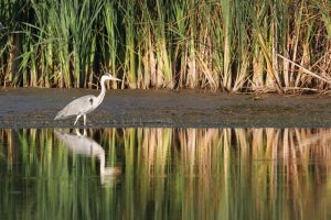 JanetGBrantley's tweet photo. 10 of My Favorite Things about the Mississippi Gulf Coast https://t.co/Eoj8FORmRF https://t.co/Q2qAQviy0l