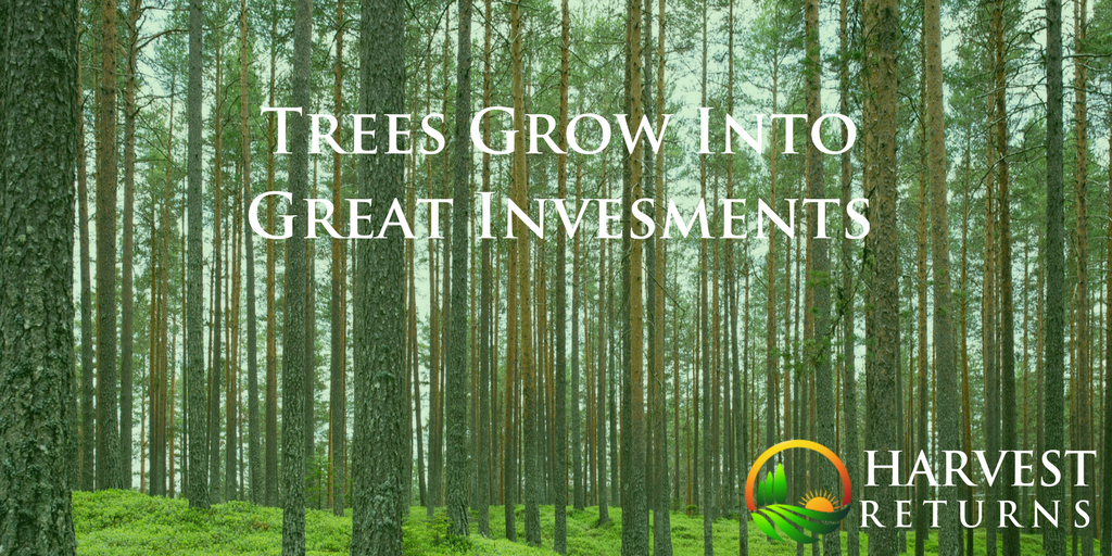 Harvest Returns | Investments in Agriculture tweet media