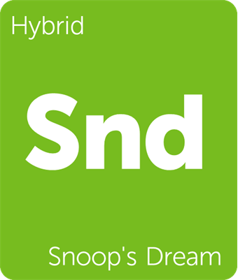Compassion2u's tweet image. #1440Impeach 1440 days to go. To Jeff Sessions JUST SAY NO! Jeff Merkley GO GO GO!Today's toke SnoopsDream