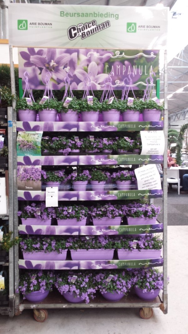 Productpresentaties steeds mooier en proffesioneler. Hierbij goed voorbeeld bij <a href="/abtuin/">Arie Bouman B.V.</a>