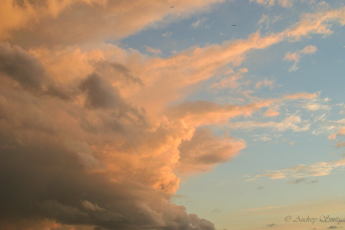 ImageIsFantasy's tweet image. #ImageIsFantasy
What do you see?
#kaboem or just a #Cloud