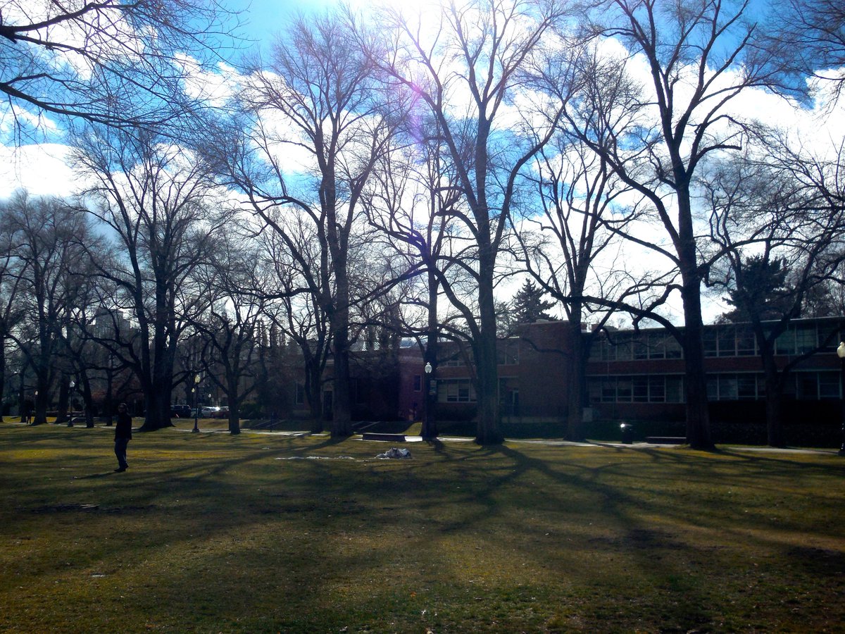 UNRtrees's tweet photo. Need a place to relax between classes? The quad has you covered! #treecampususa #universityofnevadareno #unrarboretum #bestcampus https://t.co/GvdBIujda1