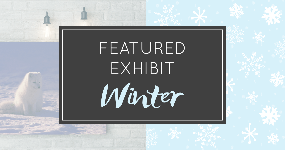 ArtfulUndergrnd's tweet photo. We're adding more stuff every day! Pop in on our #FeaturedExhibit and see what's new 😗 https://t.co/flsS2UYfuq https://t.co/G6zxqaRGIa