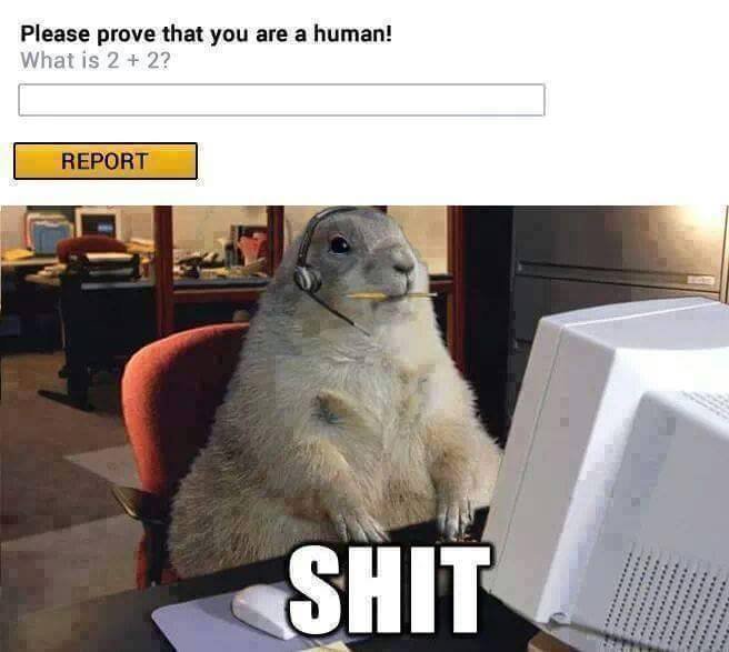SpeakComedy's tweet photo. That moment when they ask you to prove that you are human. https://t.co/y9jAXD6gVr