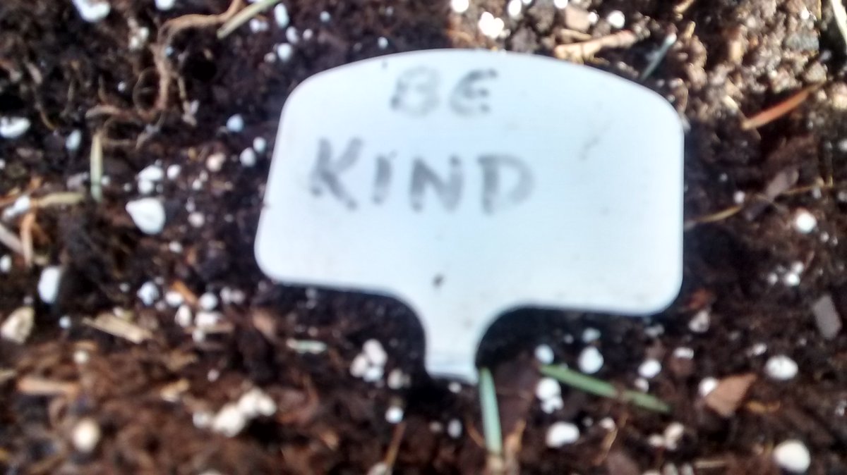 bowie_deschanel's tweet photo. This message brought to you by a curbside plant. #lunchtimefind https://t.co/DN5fl0NfWX