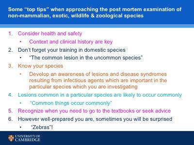 Thanks to <a href="/CUVZSoc/">CUVZS</a> for being a great audience for my talk! Really fun to hear your experiences &amp; to share mine!