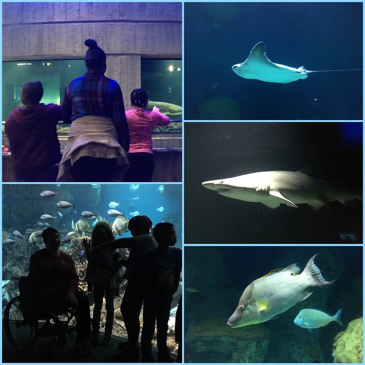 Thank you, <a href="/NatlAquarium/">National Aquarium</a>! Burnt Mills ES had a great time!! #oceanwednesday #bmesrocks #bestdayever