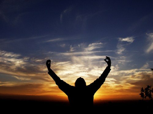 IncrediblePie1's tweet image. The Canopy of Stars💖 incrediblepie.wordpress.com/2017/02/08/the…