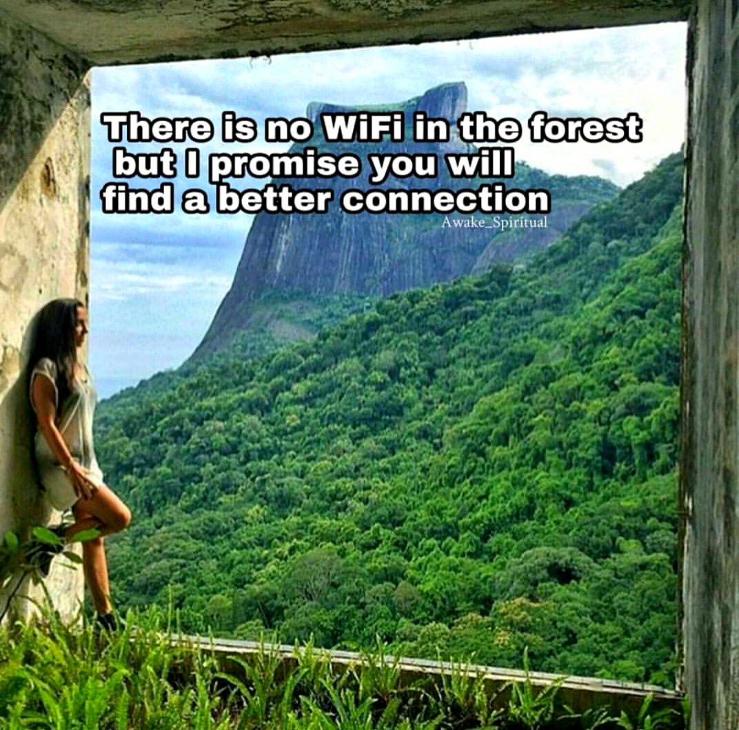 JillyFitzgerald's tweet photo. Refreshingly true 🌳☘🍀💚 
Take time out...you don't always have to be instantly available https://t.co/790eKolpYo