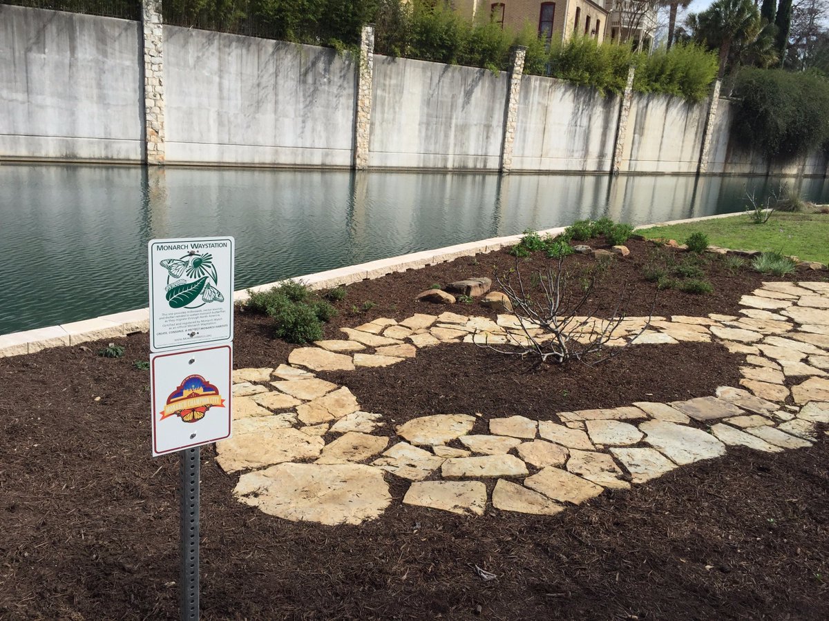 On a day like day, be on the lookout for these 2 #monarch waystations along the south channel of the #riverwalk. #MayorsMonarchPledge