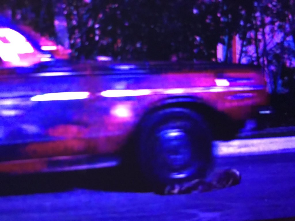 sathxph's tweet image. mano a Lady gaga ta atropelando um cachorro no clipe de #JhonWayne puta que pariu