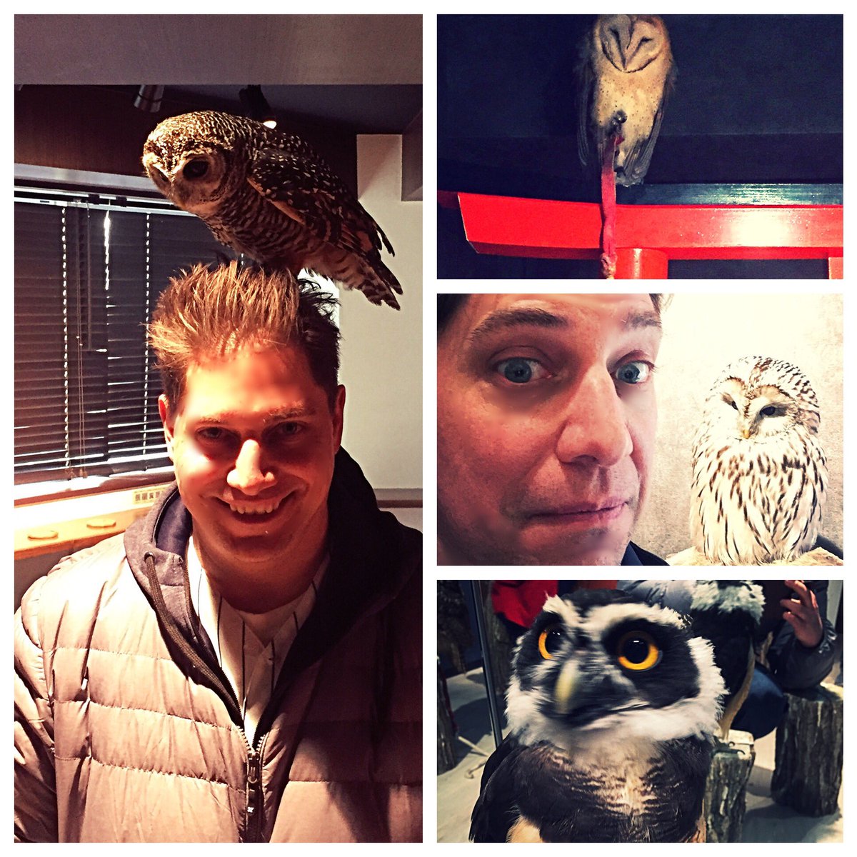 NJREALESTATECLB's tweet photo. Only in #Thailand would I let an owl sit on my head! Lol #Bangkok #RealEstateLife #MuchNeeded #Vacay😳😝 https://t.co/fD58M5o3Y4