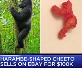 GSP's tweet photo. When a #Harambe-looking Cheeto fetches $100K on eBay, you know your campaign (#CheetosMuseum) worked #HarambeCheeto https://t.co/C9qy5d7pns https://t.co/gx5P8t6a0p