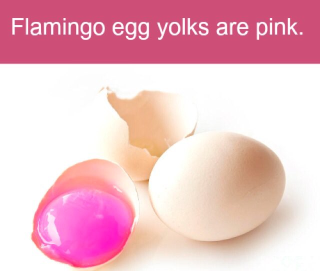 HowToBasic's tweet photo. https://t.co/xbjSU4wfau
