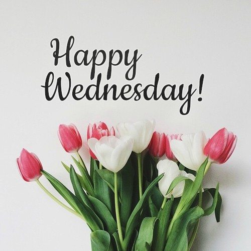 anyprob_anytime's tweet photo. Make sure to follow us on Instagram (communityhelpcentre) and Like our Facebook page (https://t.co/b6hti5rxLs) for updates and more info! https://t.co/zyymqWLSp2