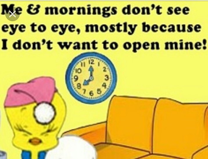 mstoyainyourear's tweet photo. Still sleepy! Happy Weds! #sleepyl #iwantgobacktobed #notenoughrest #countingsheep #sleepwithmyeyesopen #morecoffeeplease #wheressaturday https://t.co/sS7NzL038q