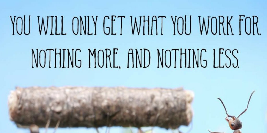 TheZigZiglar's tweet photo. You will only get what you work for. Nothing more and nothing less. #WorkForWhatYouWant #WorkHard #GetMore #Ziglar https://t.co/OlcMlASWHk https://t.co/krG2d2ixtL