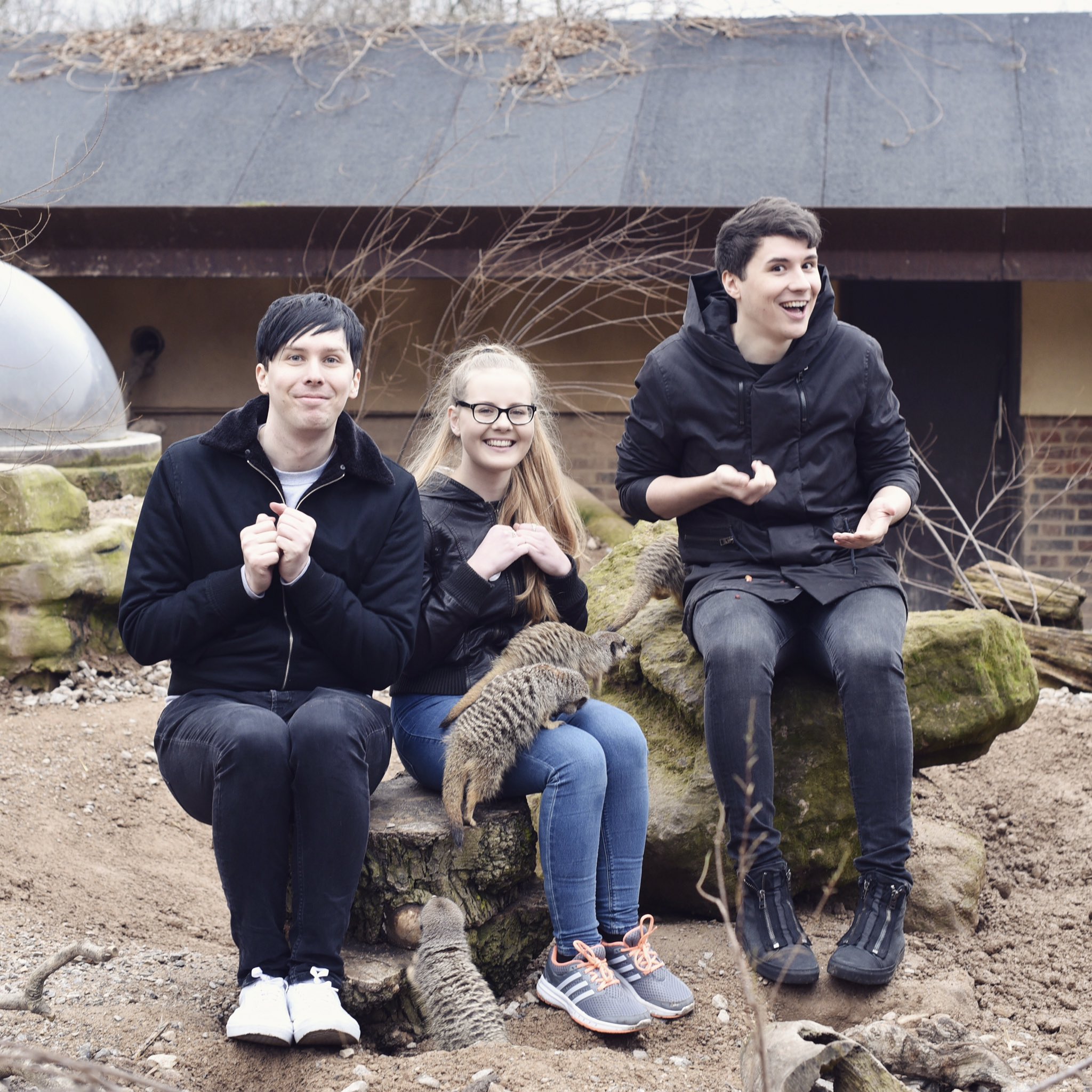 Daniel Howell on X: "today we FED MEERKATS with zoe for @MakeAWishUK they  were so small and smol i wanted to steal one (thanks for having us  @zsllondonzoo) https://t.co/I3UYS0TnEZ" / X