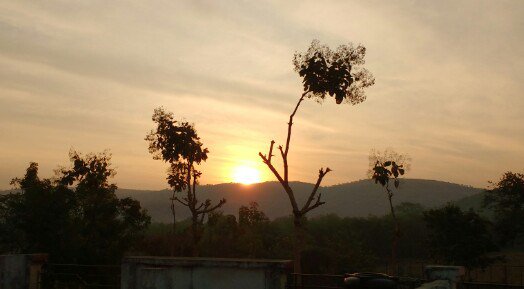 IncrediblePie1's tweet image. #IncrediblePics📷 46 incrediblepie.wordpress.com/2017/02/08/inc…