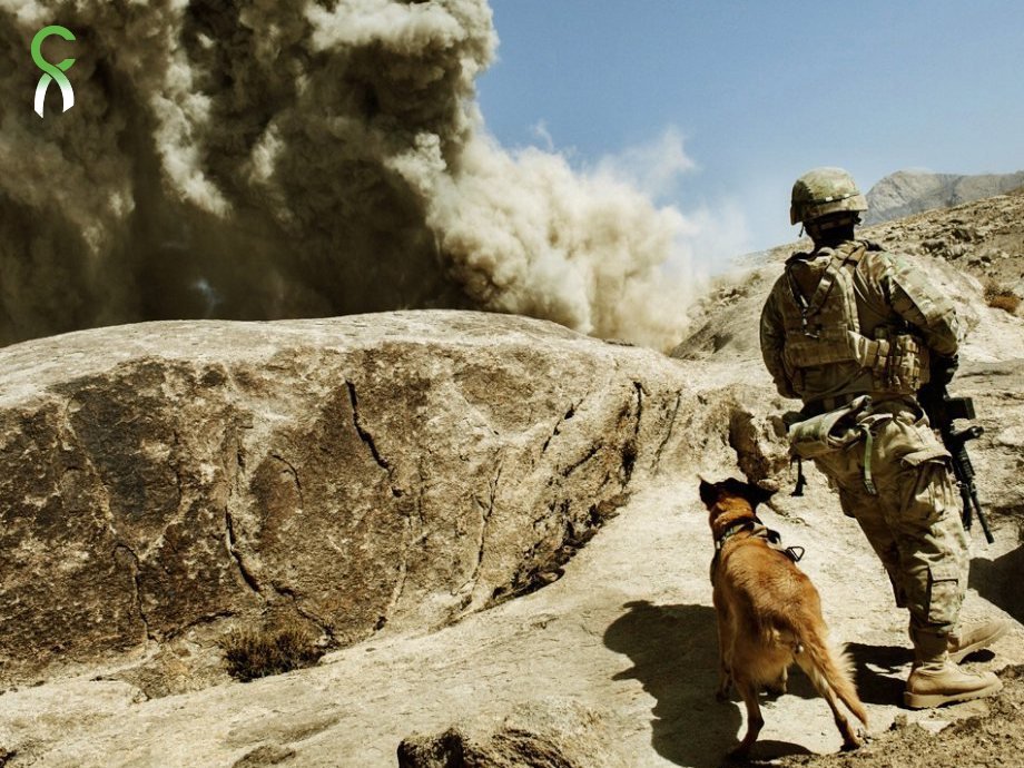 ChiveCharities's tweet image. FLASH CAMPAIGN is ON! Donate NOW to honor the K9 heroes who serve our country! l.thechive.com/EWm3ZI #tenpercenthappier #kcco