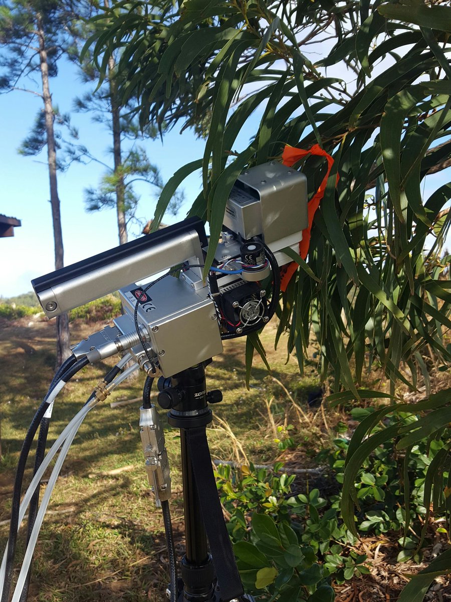 Andrea Westerband (@acwesterband) on Twitter photo Gorgeous day on Oahu. #fieldwork Gorgeous day on Oahu. #fieldwork