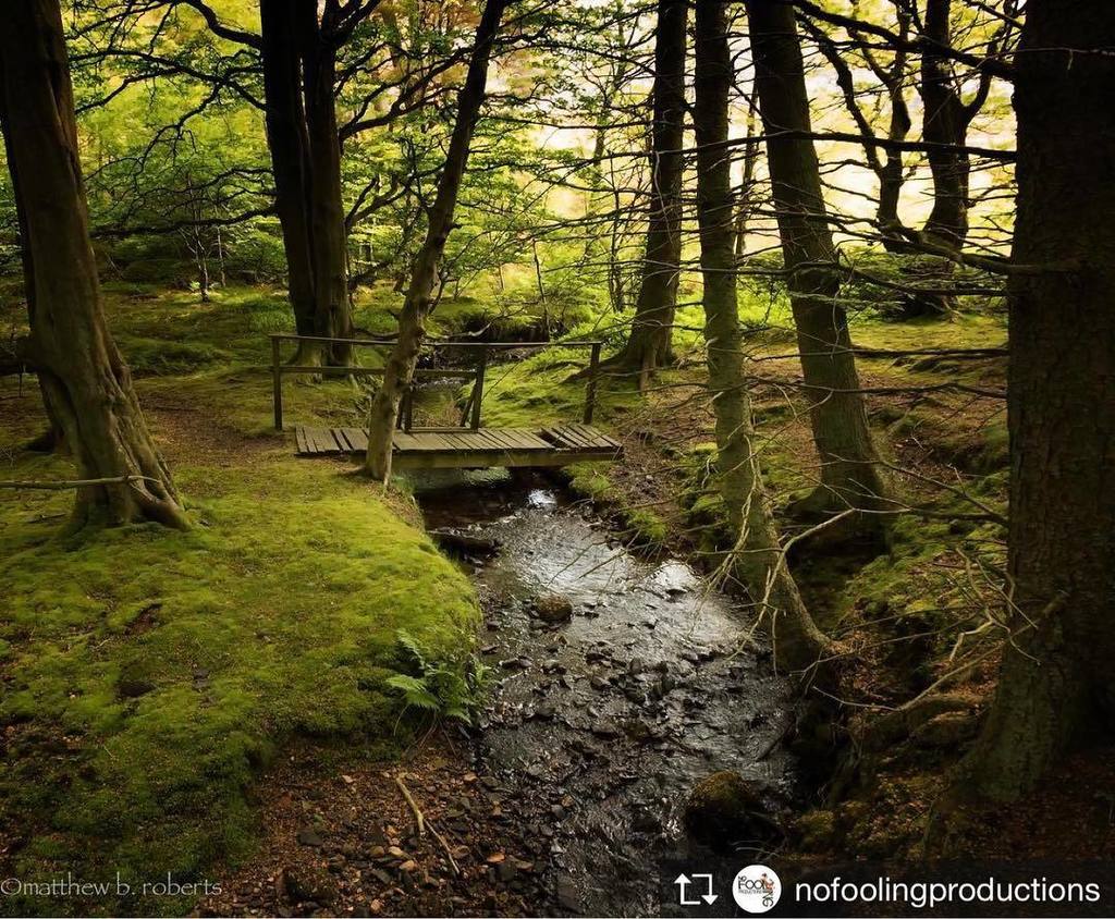 OutlandishDram's tweet photo. Repost from i just love Matt's photos 😍@nofoolingproductions  The Bridge #scotland #outlan… https://t.co/HWVGQgrUqK https://t.co/04Xi9N9sVz