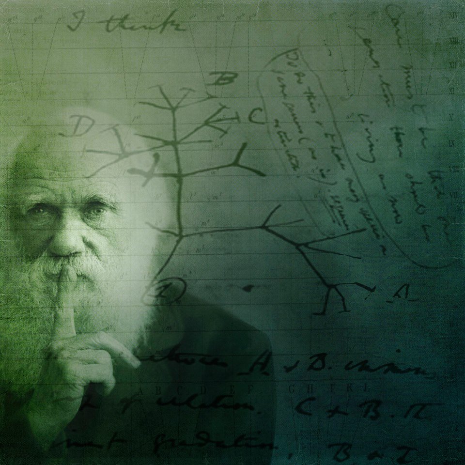 UZIONLUS's tweet photo. Al 7° Congresso della Società Italiana di Biologia Evoluzionistica i nuovi confini dello studio dell’#evoluzione 
https://t.co/L5cTRDDxJm https://t.co/QW7hKUqNsD
