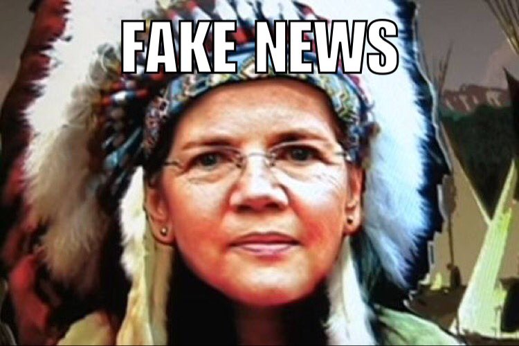 merightside's tweet photo. So sick of this fake Indian #fakenews #troublemaker #fakeIndian #racist #voteherout #retweet https://t.co/78y0MSYgNs