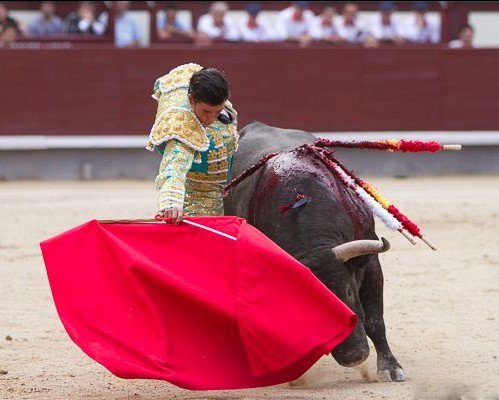 Feliz por abrir mi temporada en Madrid y con una corrida de Victorino Martín