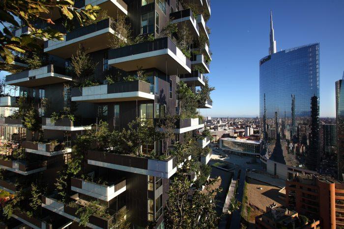 human_spaces's tweet photo. Interest in #biophilia has grown substantially over the last decade, largely due to the rapid urbanisation of the modern world. https://t.co/3uwUHLYc2D