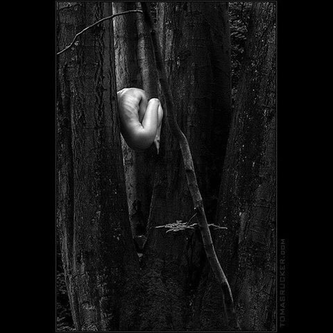 Art is not a thing, it´s a way – by Thomas Rucker – Be ▲rtist – Be ▲rt Magazine crwd.fr/2jXdOOQ