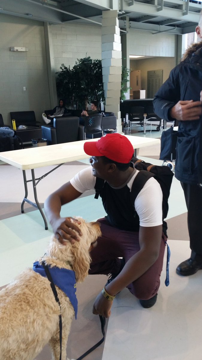 alysonjconnolly's tweet image. The puppies are here, the puppies are here @CUEdmonton. Nice to pet a pup before class. #calminginfluence #makesushappy #yeg