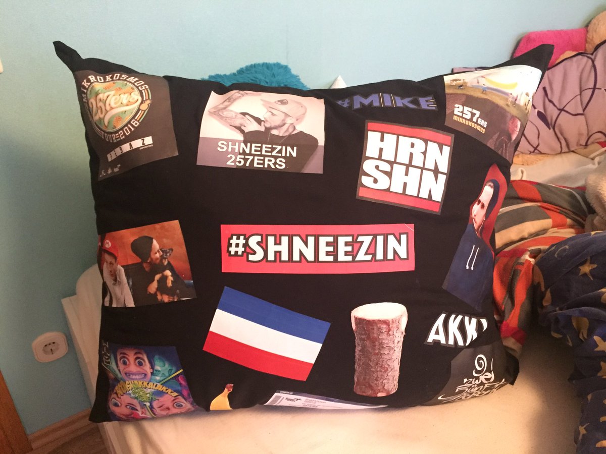 Chantal Selfmade 257ers Kissen Pillow Holland Holz Hrnshn Shneezin Mike Mikrokosmos Akk 257ers