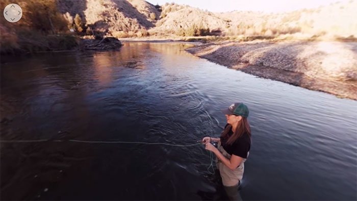 Stillwater Fly Shop tweet media