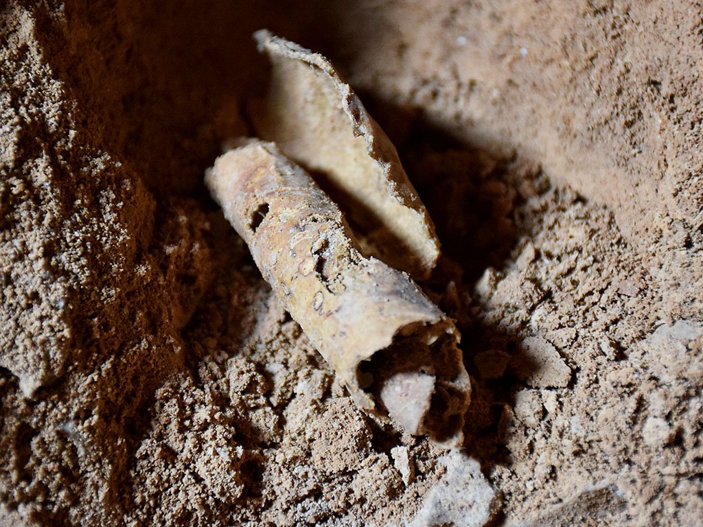 jenkinstours's tweet image. Hebrew University announced excavation of 12th Dead Sea Scroll Cave. wp.me/p1zOp-4tA