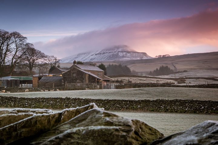 Help to make us the National Park of the Year  We've been nominated for an award by B...bit.ly/2ktAgNT