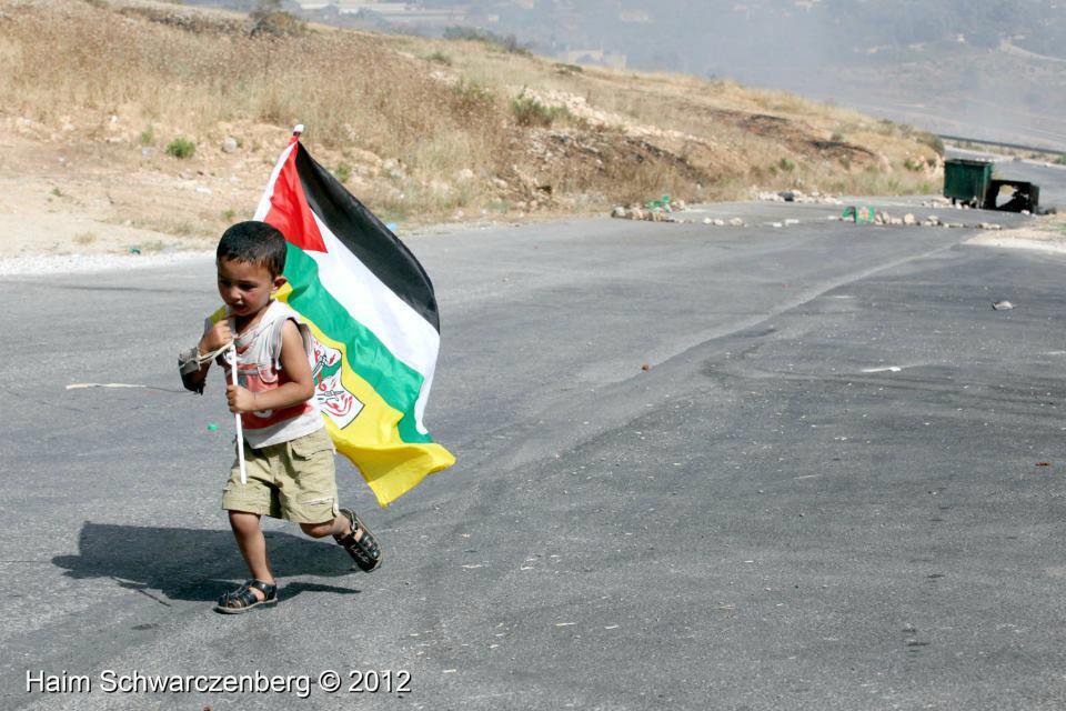 EmperatrizRios's tweet photo. La esperanza siempre tiene que estar encendida..!!
#FreePalestine https://t.co/9WTtaNqpRd