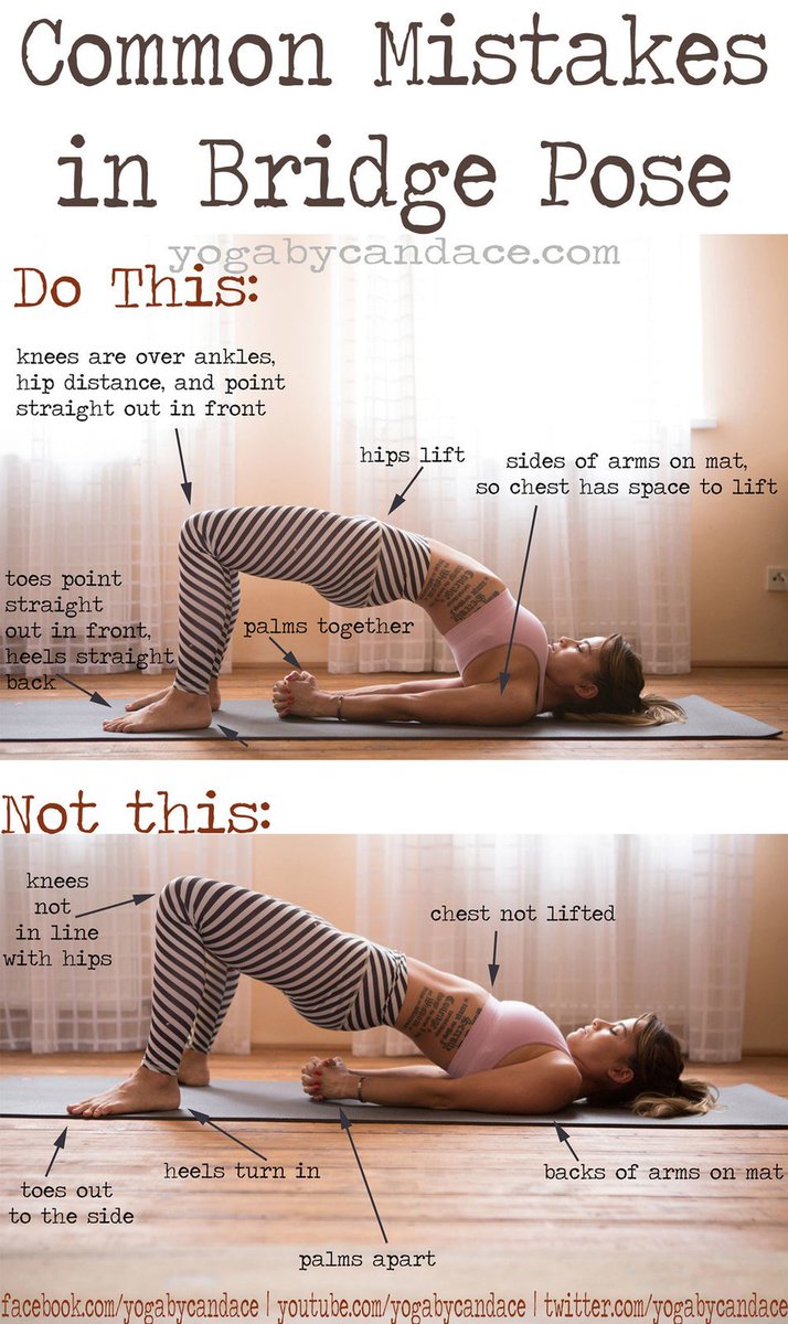 bayleafbotanics's tweet photo. Benefits of Bridge Pose (Setu Bandhasana) https://t.co/sSKQ7J3OGZ https://t.co/KWogNqSxv7