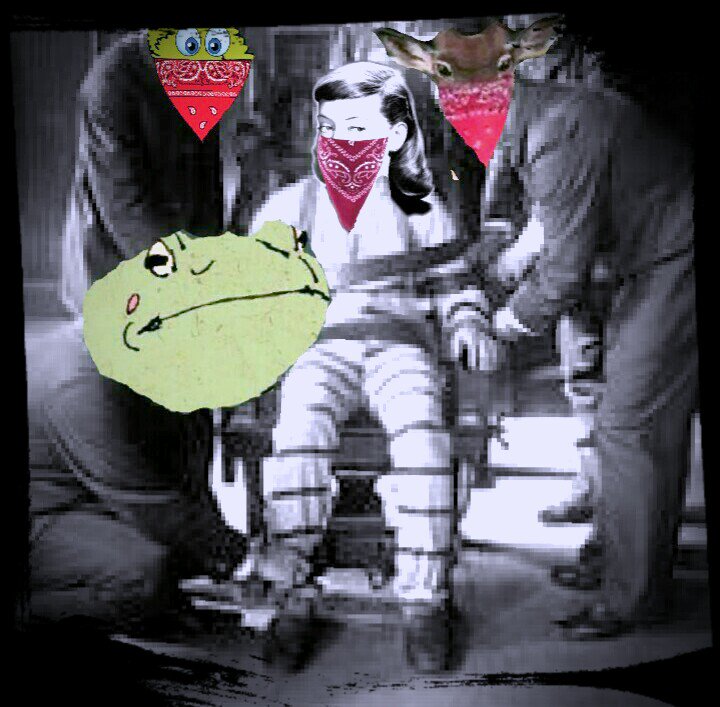bruggelschmei's tweet photo. @Ette_der_Mette @_Ein_Busch_ #frosch #liebeee @PANIKREPORT @filterbabbl @_Koboldin @Y_Bastian_N @shokmuzikk_ru @off_blondemaus @MrLard_ https://t.co/qeznRlrx3U