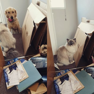 TheMinimaltake's tweet photo. Project > Olivia + James
New blog post ☛ https://t.co/yOIUQNJvJE
#declutteringservices #decluttering #brighton #hove #worthing https://t.co/0oSaSTs6kD