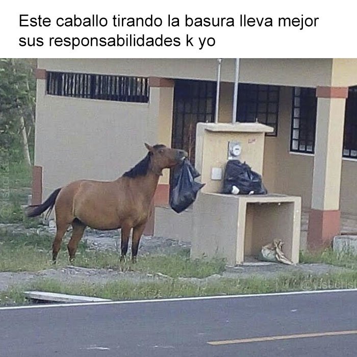 yisucrist's tweet photo. pero k coño? xddd https://t.co/AbQOX0LNHk