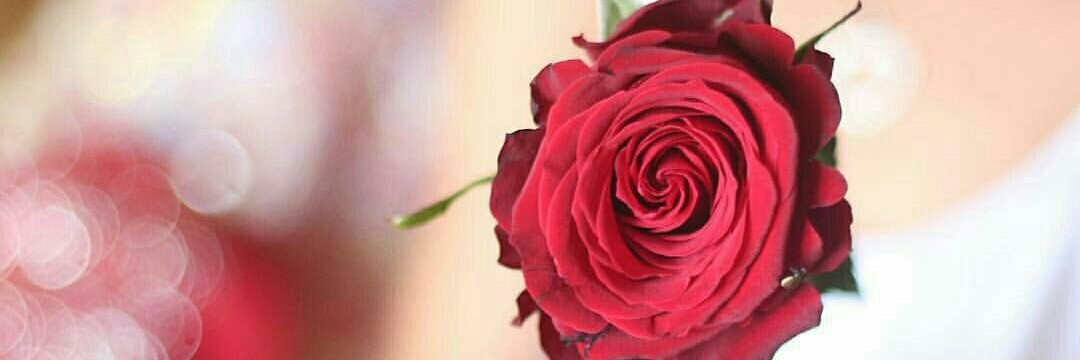tGWxNoi0pt87IzD's tweet photo. اهداء ❀مٌـ🌸ــٍّﮡ❀ #قروب_همس_للرتويت.
@r_et2 🌹
لعيون المتألق. @haneed_ah 🌹 
لـ 
#حمودي_الغالي_10K_متابع
🎵🎵
🐣🐣 
الف مبروك @tGWxNoi0pt87IzD https://t.co/rHUdjwXrzI