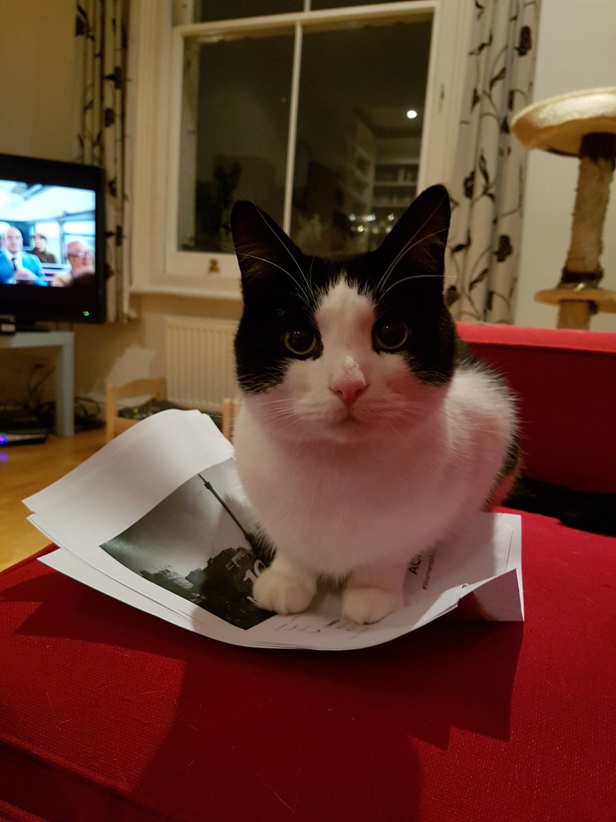 HannahBLondon's tweet image. Cat helping prepare for tomorrow's #huddle What's his pledge, equal treats for all cats?! #manypawsmakelightwork @womensmarchlon