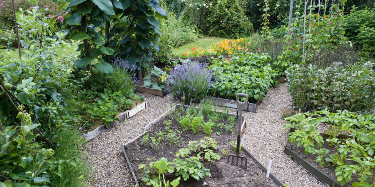 countrylivinguk's tweet photo. 9 gardening trends that are going to be taking over flower beds in 2017 https://t.co/vkSZnsWgU1 https://t.co/fidkWuFiFU