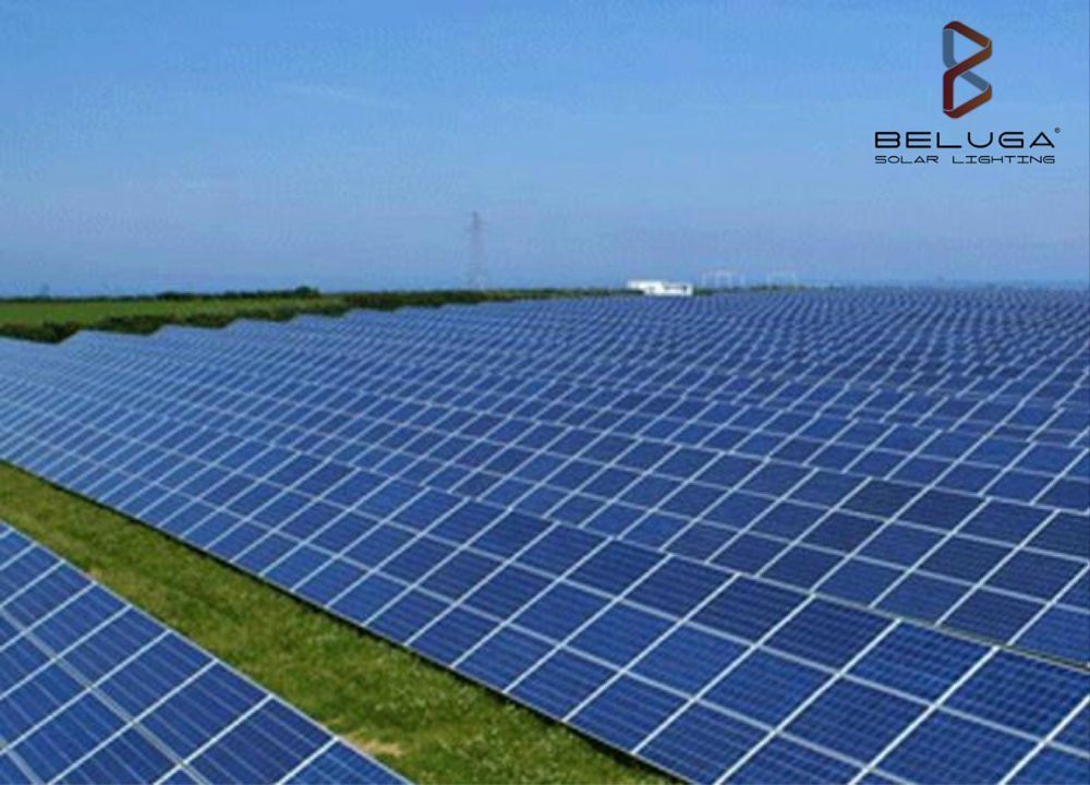 mabhishek_75's tweet photo. Looking for setup #Solar #Power plant? #belugasolar is the best option,Why? Contact us and know.we #LightingTheWorld #Twubs #Kprs https://t.co/40khc01xj1