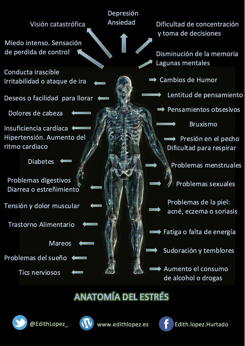 ub3d4's tweet photo. "Anatomía del estrés" vía @EdithLopez_ https://t.co/ch9ckeTc8I